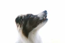Maxime MOLLÉ - NOTH.RAW Photographie