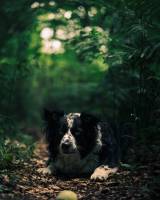 Maxime MOLLÉ - NOTH.RAW Photographie